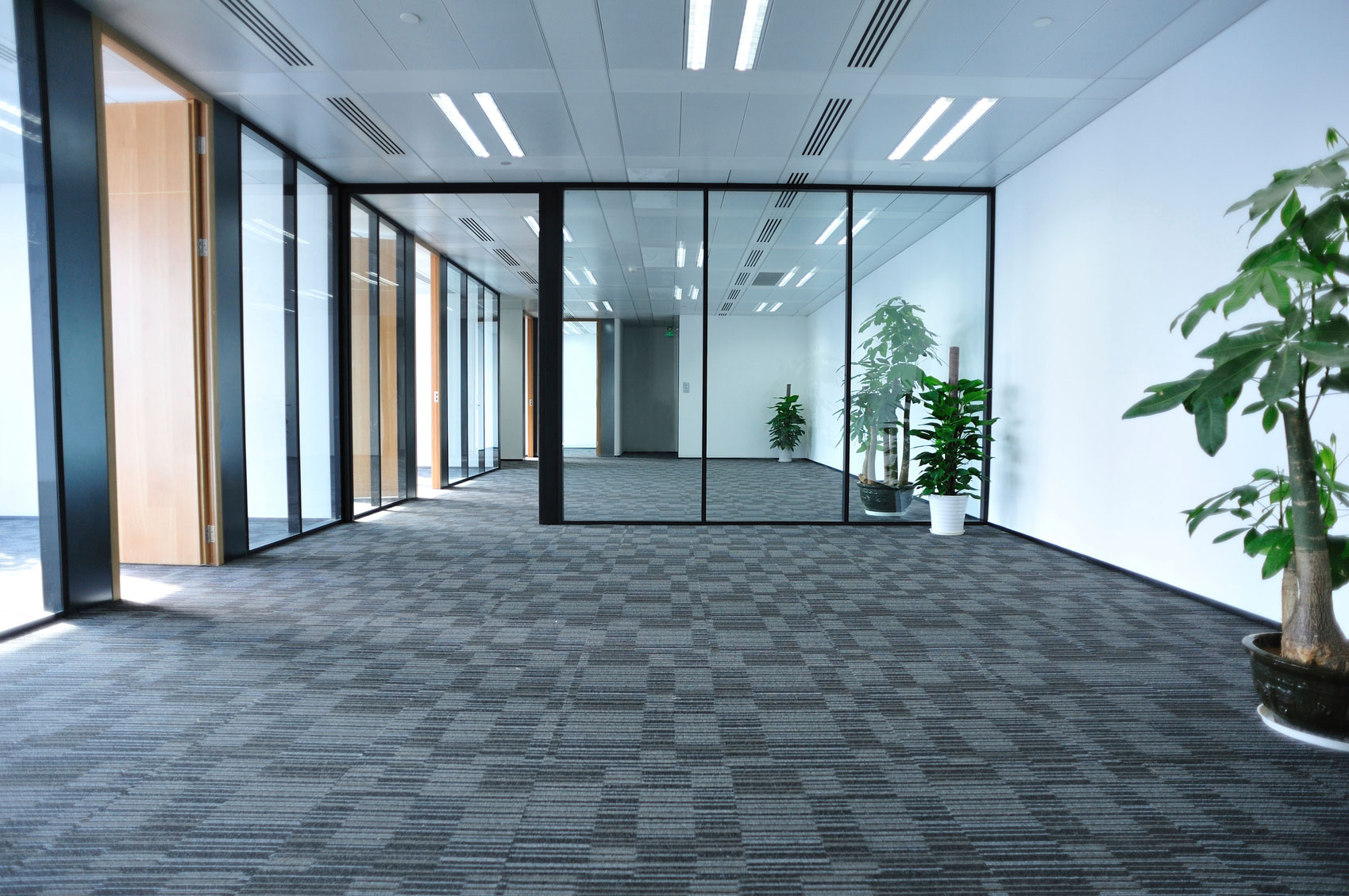 Allseasons Carpet Cleaning Pest Management Termite Control Upholstery